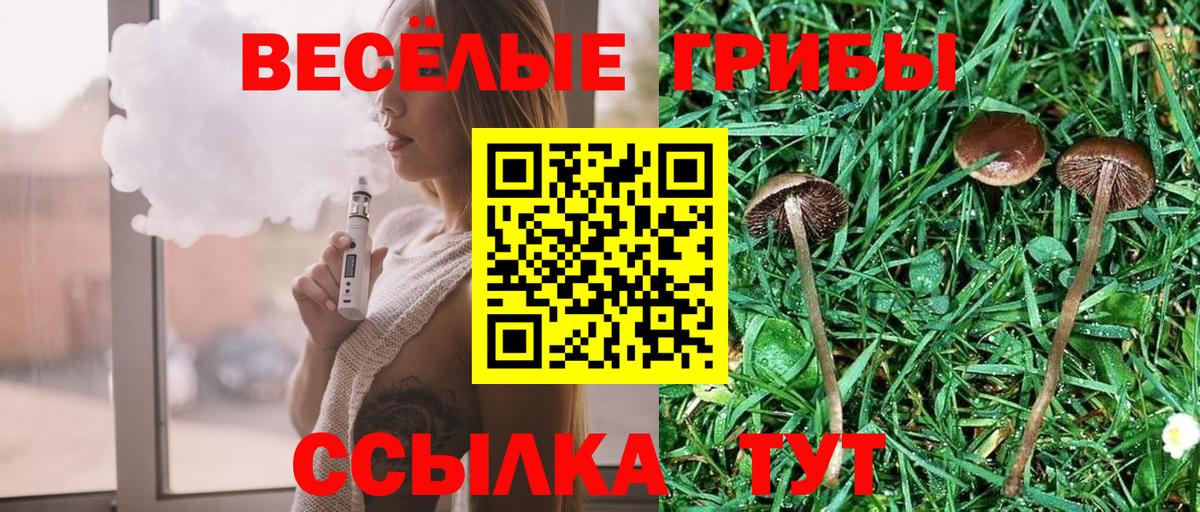 Алапаевск  Псилоцибиновые грибы Psilocybe  что такое наркотик  Вход с VPN 