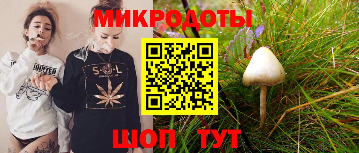 Галлюциногенные грибы прущие грибы Алапаевск
